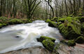 Golitha Falls - Mike Abraham