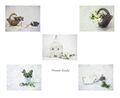 HC - Flower Study Panel - Kim Pickup