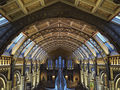 Highly Commended-- Museum Interior