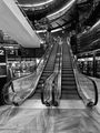 Steve Hallam. Library of Birmingham. C.