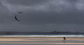 Hopkins, Richard--- Windsurfer--- Commended