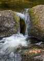 James, Alan--- Dartmeet Water--- Commended