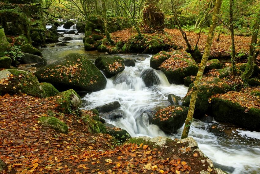 Kennal Vale Stream