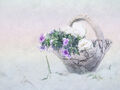 Kim Pickup--- Basket Full of Fowers--- Commended