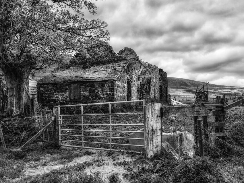 Kim Pickup---Derelict Building