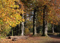Linda Harris---Eastville park 5