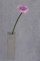 Linda Harris---Lone Flower--- First