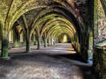 Lloyd Pickup ---Fountains Abbey