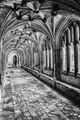 Lloyd Pickup ---Lacock Abbey Cloisters