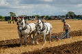 Geoff Mallin G.W.S.F. 2012 - Horse Ploughing