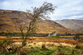 Mallin, Geoff ---Lone tree---. Kilchurn Castle , Loch Awe, Scotland---Second