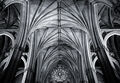 Matthew Harris--- Arty-techture Highly ---Commended