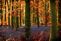 Messing with Nature---10