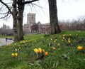 Mike Abraham--- Castle Green