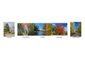 New England Fall---Andy Haynes