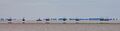 Peter Weaver--- Brancaster Staithe On A Hot Summer's Day--- Second
