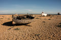 Steve Pickering Beached