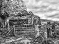 Kim Pickup Abandoned Dwelling. 1st