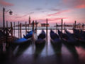 Kim Pickup. Gondolas in Venice. 1st
