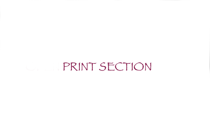 Print Section