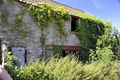 Ray Newton- Hardwicks Farm
