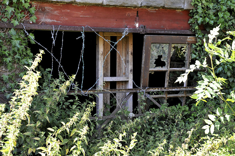 Ray Newton-Hardwicks Farm