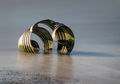 Shell on the Sea Shore---Sue Bennett
