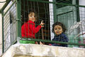 Steve Pickering ---Caged in Cyprus