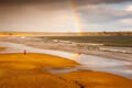Steve Pickering--- Goldie at Rainbow's End