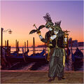 Steve Pickering ---Venetian Lamps ---Commended