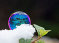Sue Bennett ---Snow Bubble