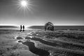 Sunburst, Silhouette and Shell Sculpture