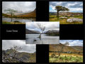 H.C.---T6-Lone Trees---Geoff Mallin