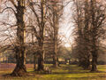 Teresa Hopkins ---Hanham Court