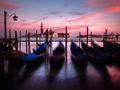 Venice gondoliers---Kim Picup