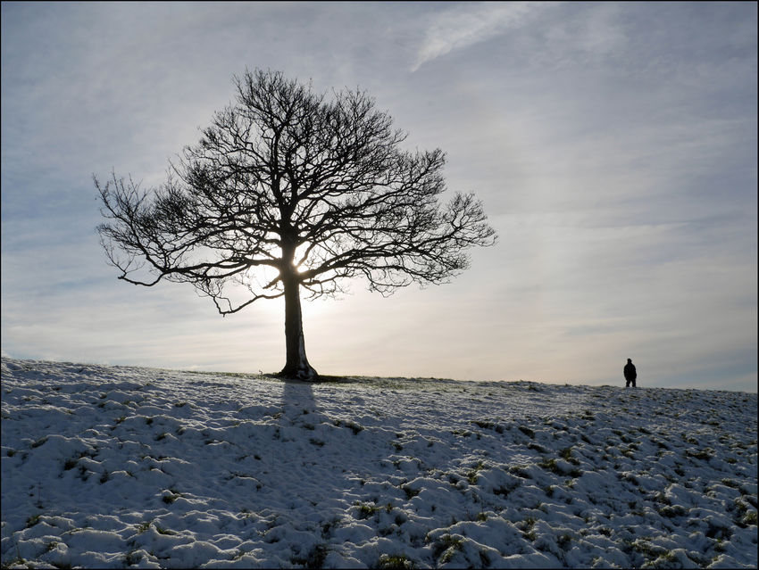 Winter Silhouette---11