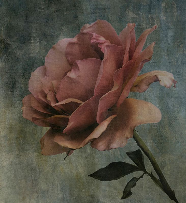 Richard Hopkins 'Artistic Licence'
