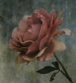 Richard Hopkins 'Artistic Licence'