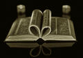Third---Book Lover