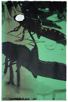 AKHD #17 (2012)