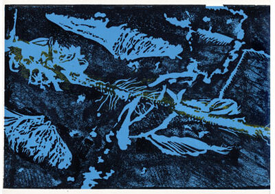 AKHD #6 (2011)