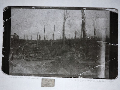 Souchez Wood, France, 1915/16, photograph by Harry Lewis (grandfather of RS), photograph as photocopy / 49 x 69 cm