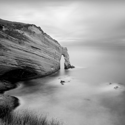 16 FarewellSpit 500x500 sRGB