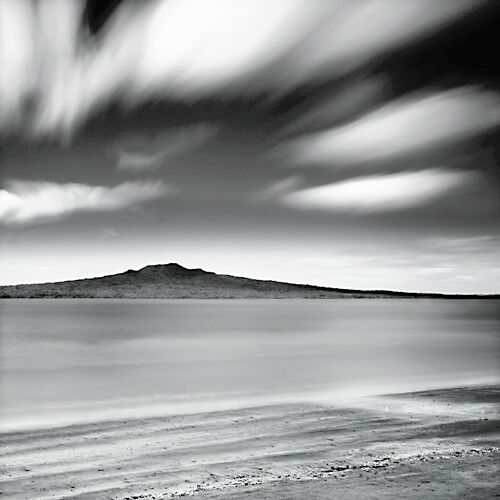 RangitotoStudy1
