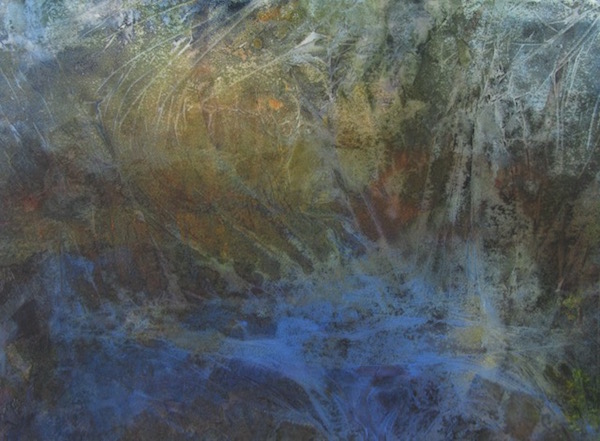 Winter Undergrowth