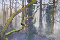 Young Oak on Quarry Edge watercolour sketch February damp woodland young oak