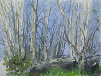 Silver Birches - Outdoor Sketch outdoor watercolour silver birches