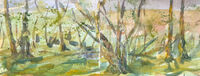 Outdoor sketch 20/4/22 outdoor watercolour sketch woodland