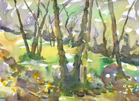 Outdoor sketch 20/4/22 outdoor watercolour sketch hazel coppice