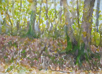 22/10/20 - outdoor watercolour sketch 1 outdoor watercolour woodland